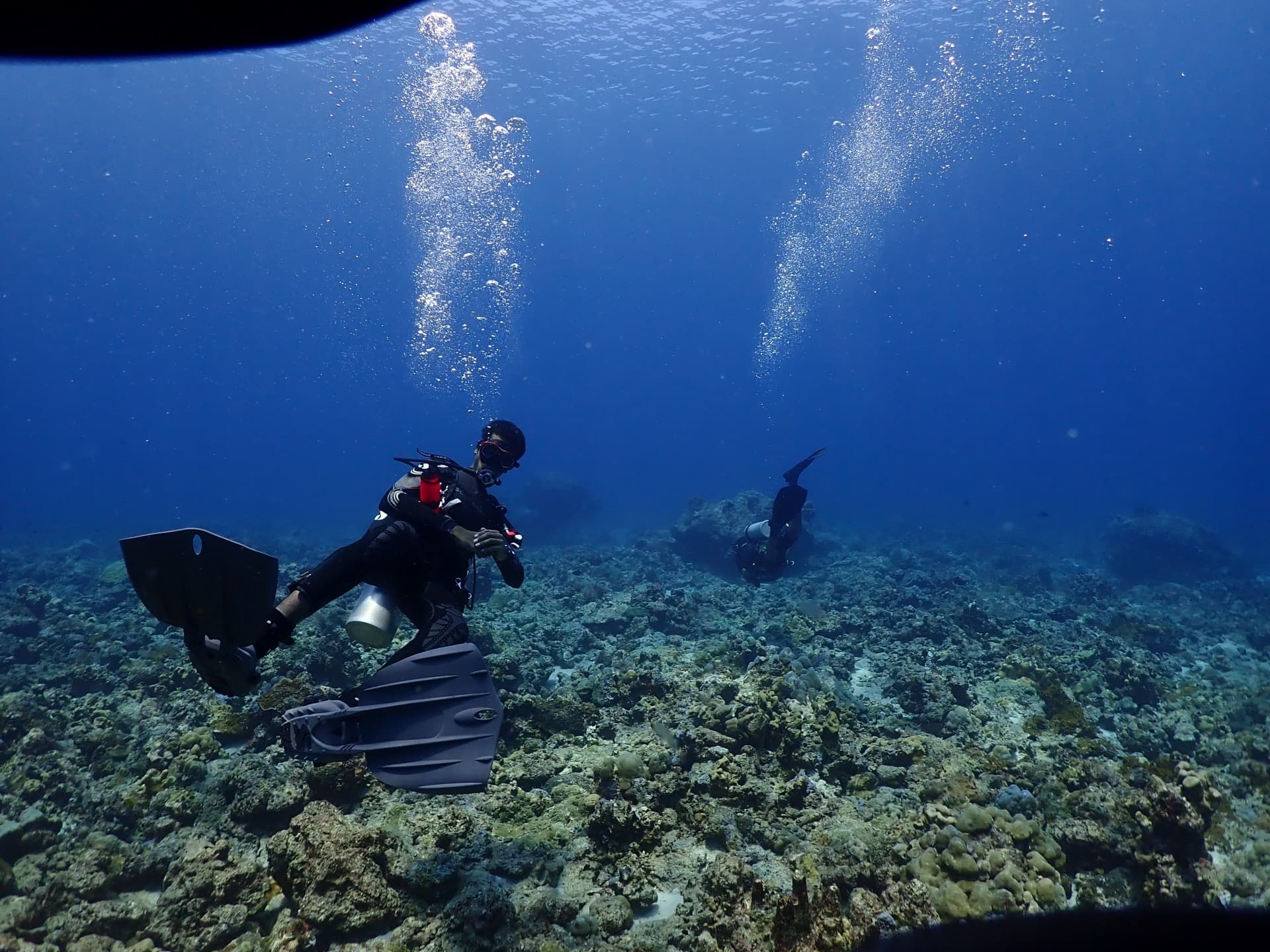 Diving in India: our practical guide