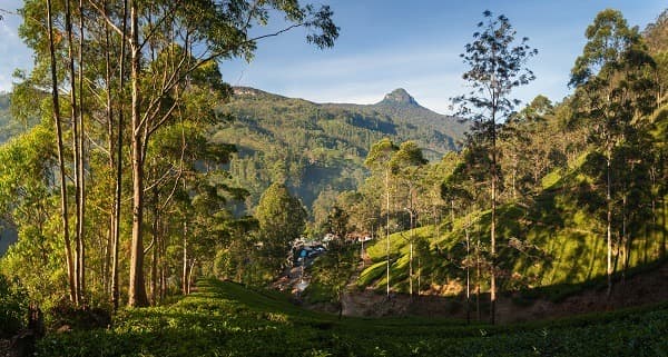 Dalhousie