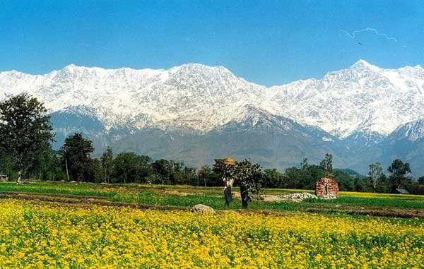 Joginder Nagar