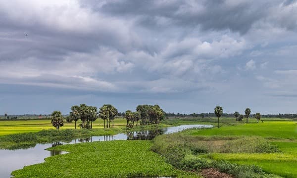 Rayagada