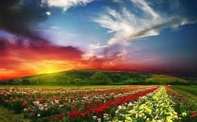Flower Valley National Park