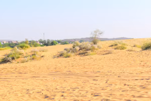 Desert Dune Safari (Thar Desert, Jaisalmer)