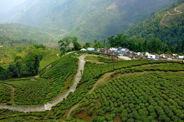 What to see and do in Darjeeling?