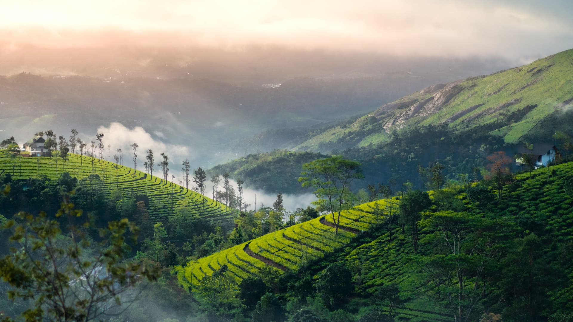 Kerala and South India