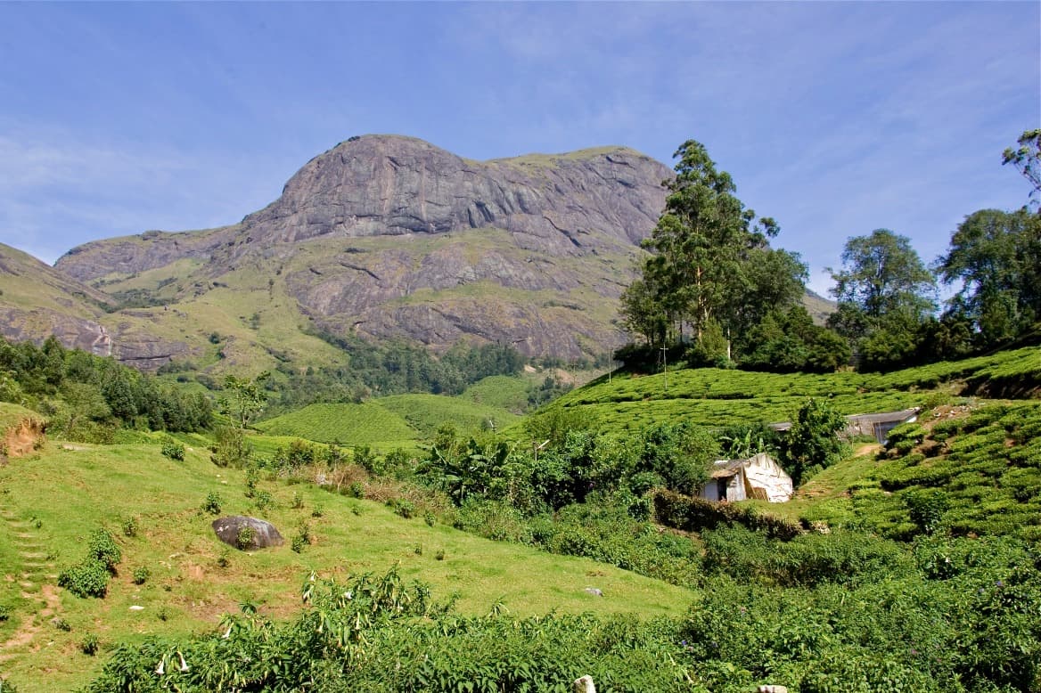 Munnar Tea Museum (KDHP Tea Museum)