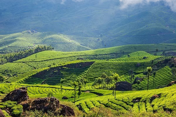 Abenteuer in Kerala