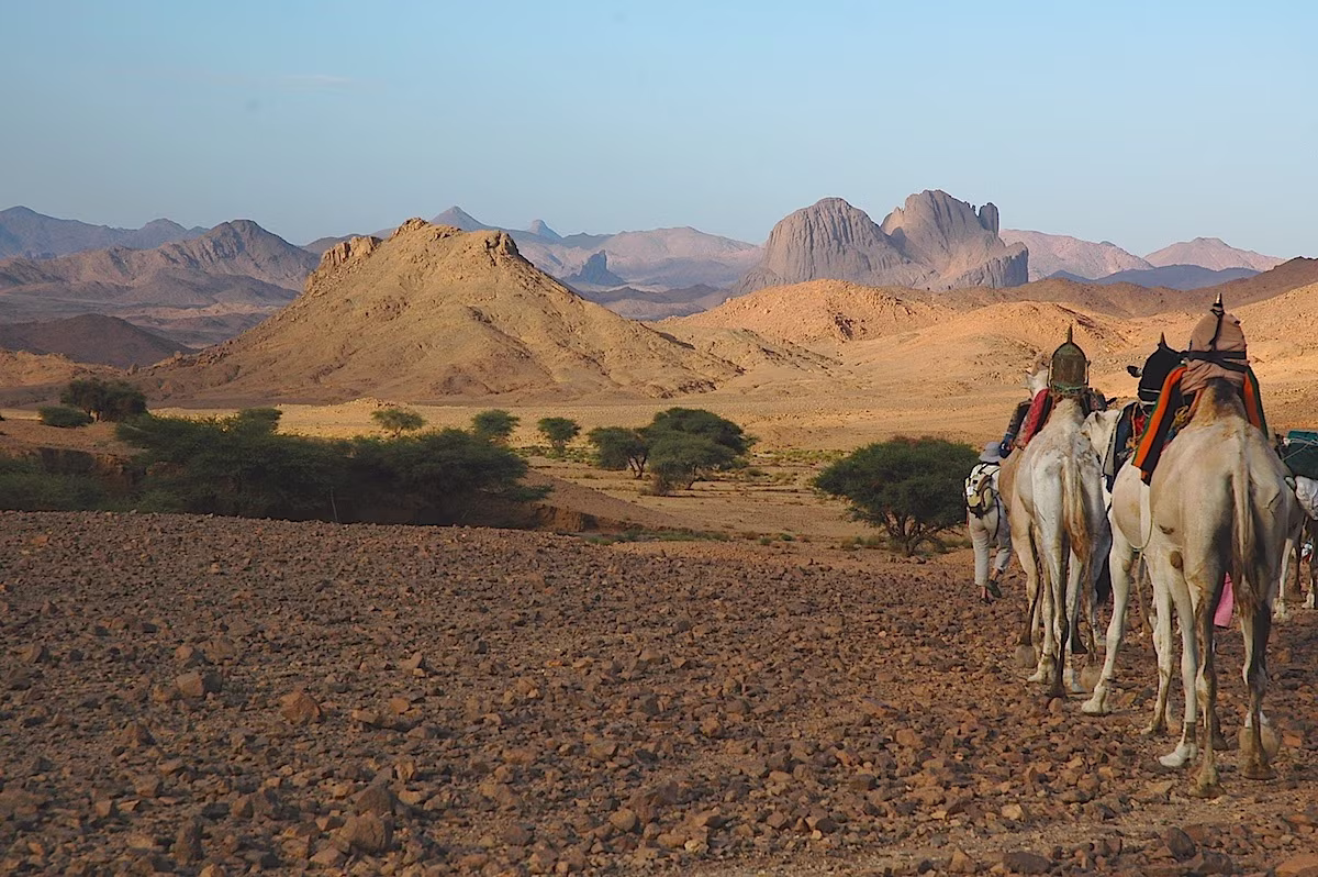 The mythical camel trek from Tamanrasset to Djanet